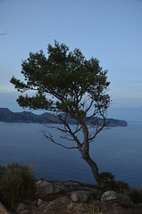 Hike to the Beach