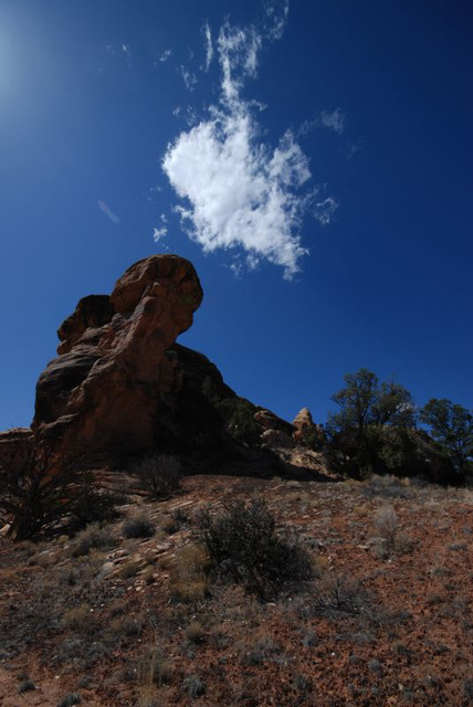 Mushroom and Cloud