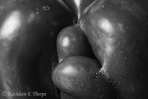 Bell Pepper b&w macro 082113