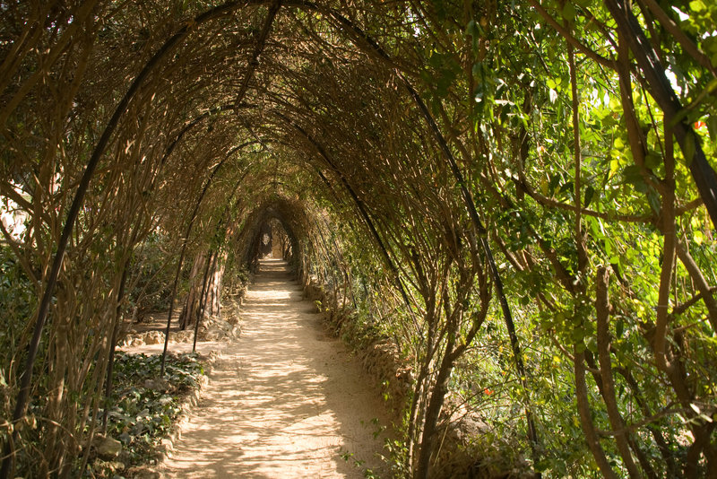 Park Guell