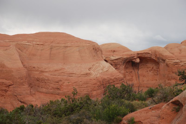 Swirls and Arches