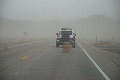 Tumbleweeds