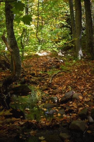 Porcupine Mountains