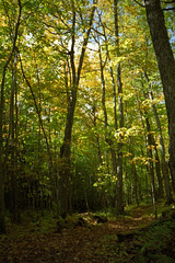 Porcupine Mountains