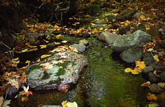 Porcupine Mountains