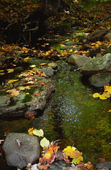 Porcupine Mountains