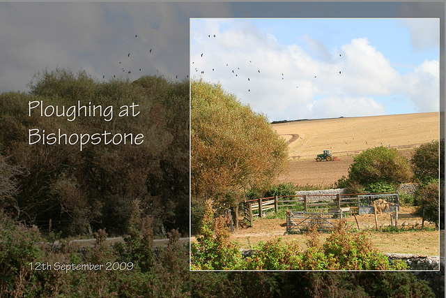 Ploughing at Bishopstone 12 9 09