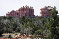 Cathedral Rock