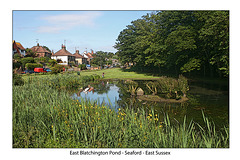 East Blatchington Pond & Sutton Drove May 2009