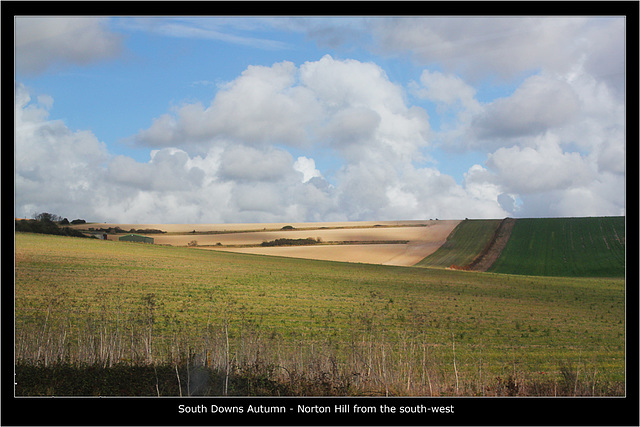 Norton Hill, East Sussex, from a 12 bus - 25.10.2011