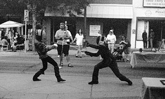 Longmont Street Fair - Fencing