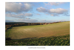 A downland field at dusk - Bishopstone - 11.1.2013