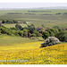 East Dean from Friston - 25.5.2012