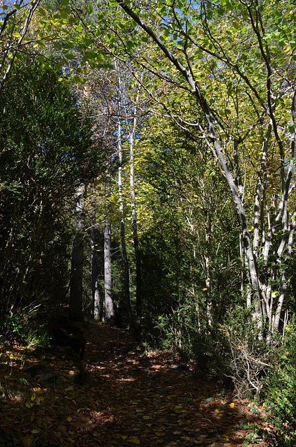 Valle de Ordesa