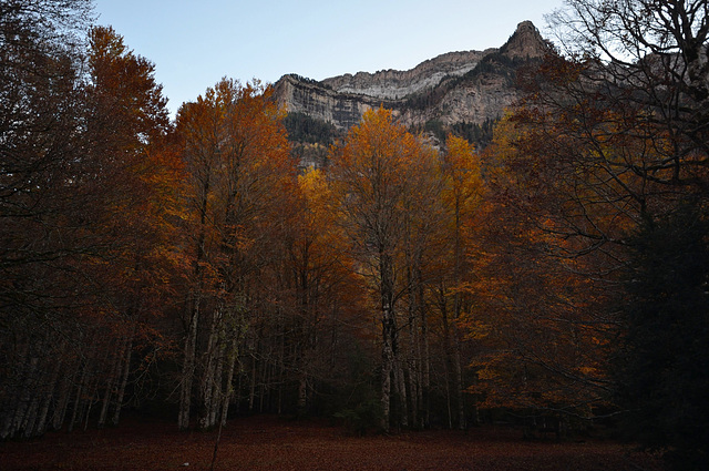 Valle de Ordesa