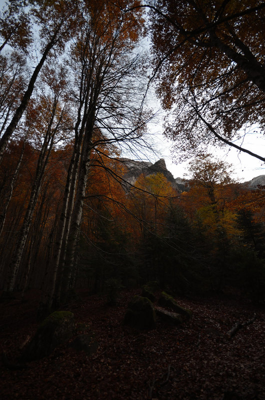 Valle de Ordesa