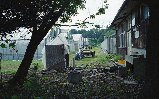 Greenhouses and a tractor