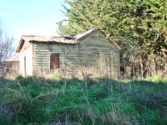Abandoned house at Arowhenua