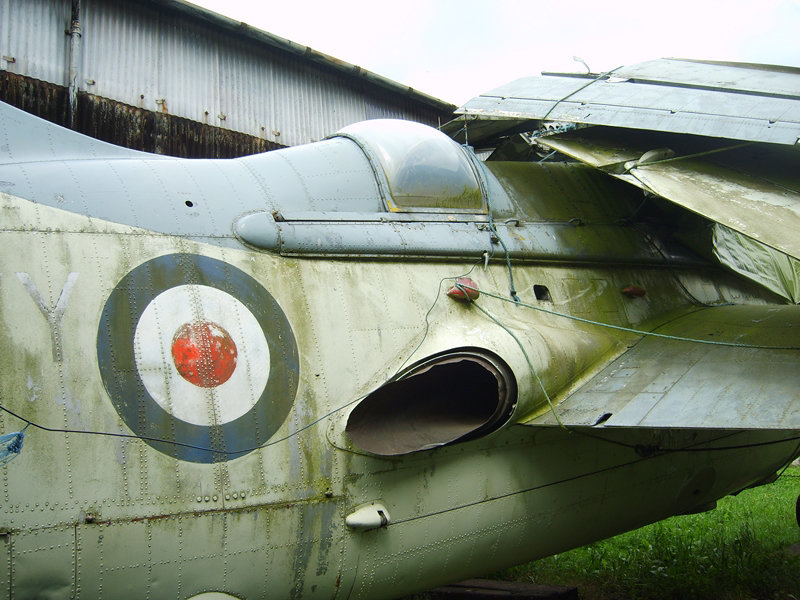 gannet white waltham (107)