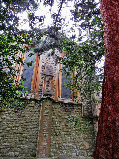 st.paul, new southgate, london