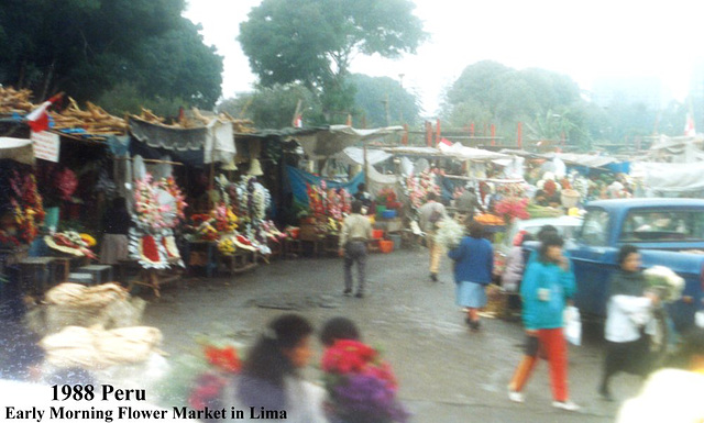 1988 Peru Flower Market