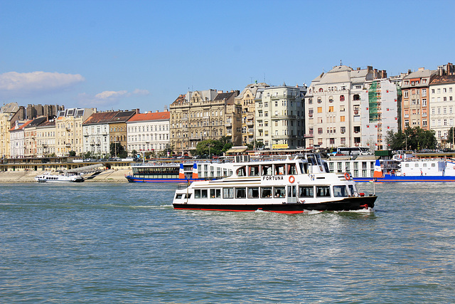 Die Donau in Budapest