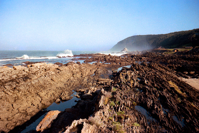 Tsitsikamma Reef