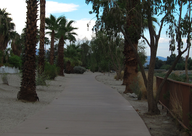 Palm Springs Bikeway (4542)