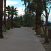 Palm Springs Bikeway (4542)