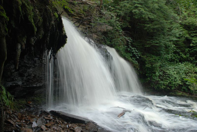 Rickets Glen