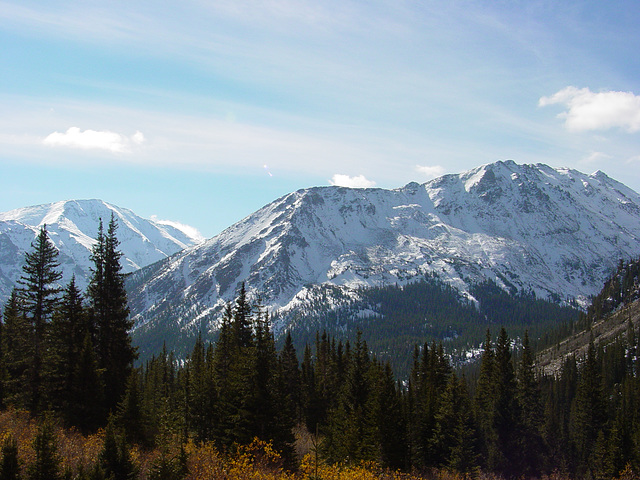 Mt. Elbert from Mt. Massive