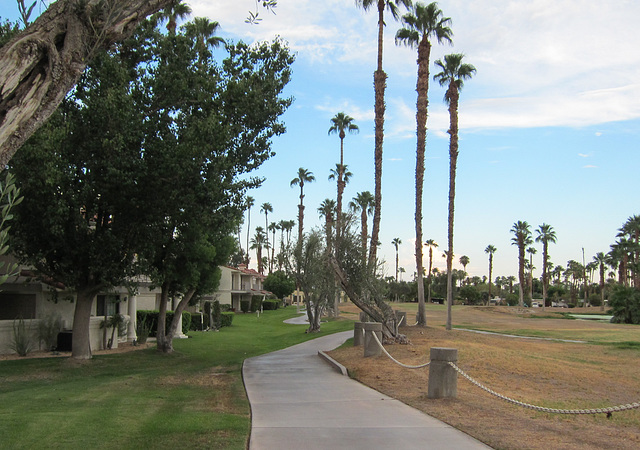 Palm Springs Tahquitz Creek Loop Bikeway (4556)