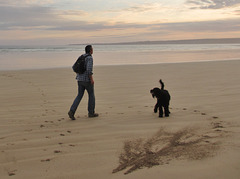 Waratah Bay at high tide