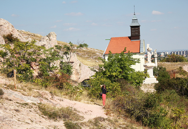 Auf dem  "Steinberg" in Budaörs, Budapest