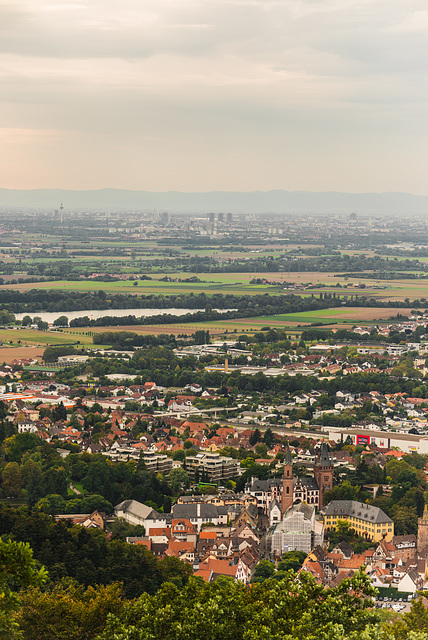 Weinheim - 20130929