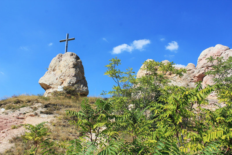 Naturschutzgebiet auf dem Steinberg