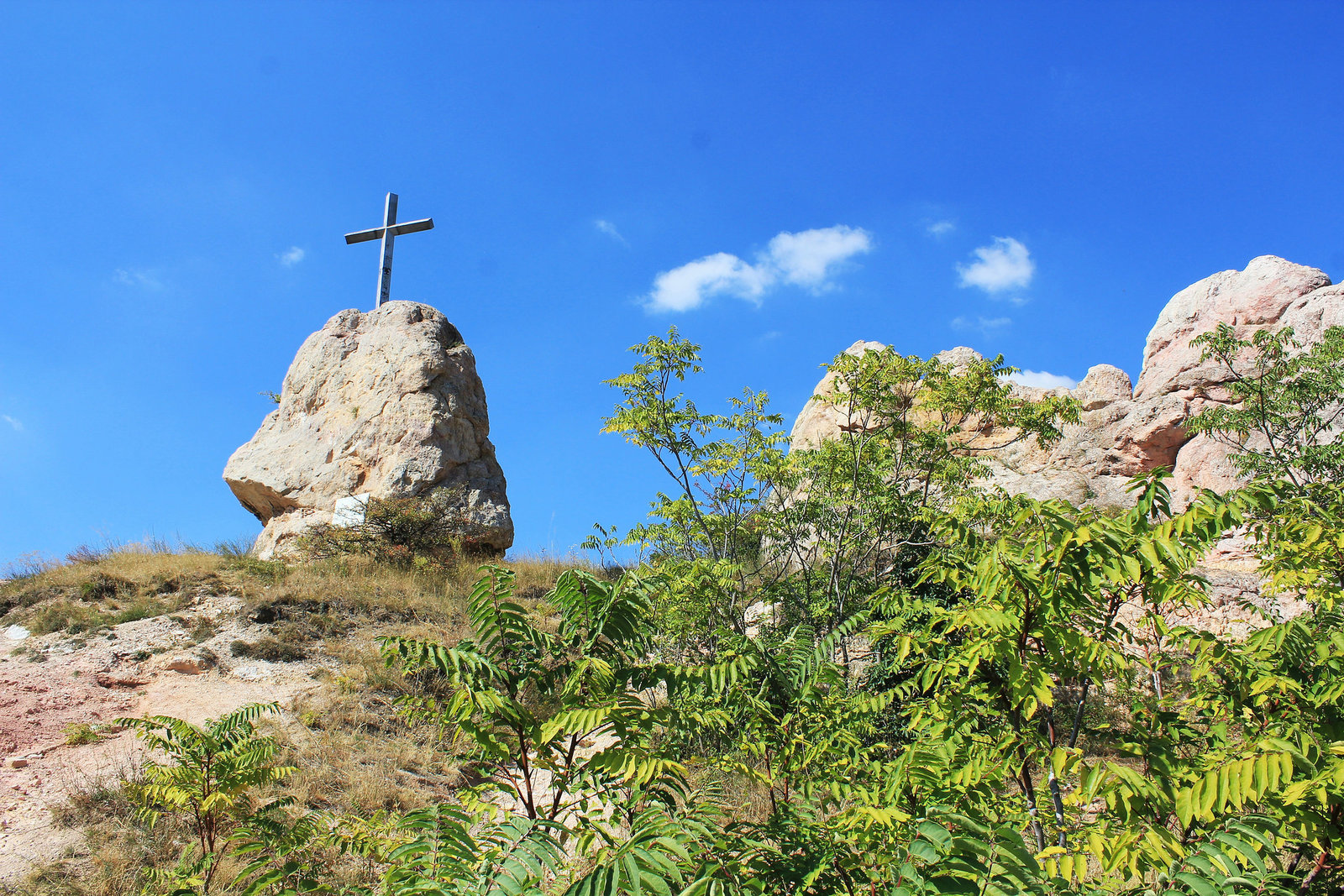 Naturschutzgebiet auf dem Steinberg