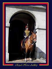 A mounted sentry from The Royal Horse Artillery - Whitehall - 23.8.2005