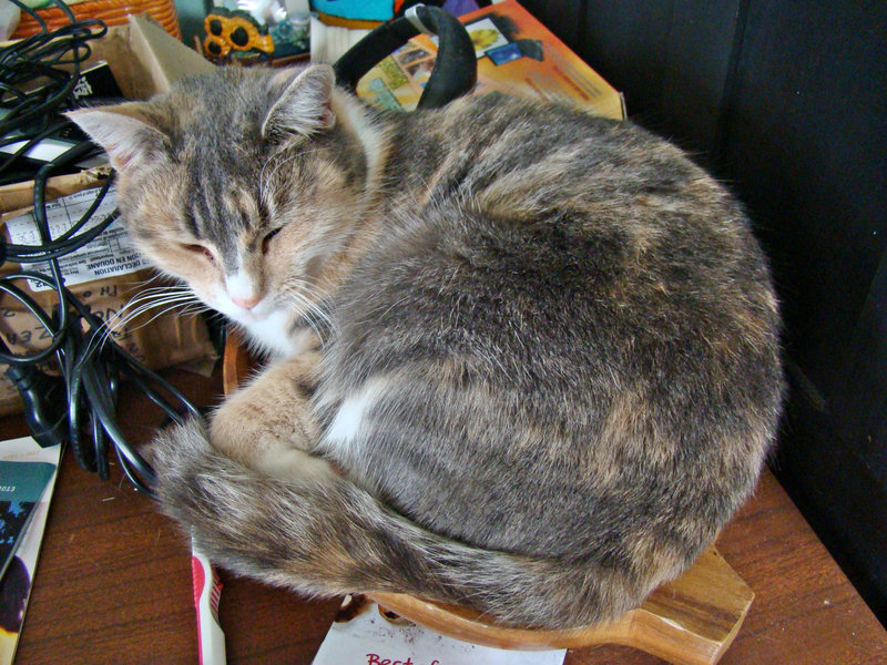 Honey in a wooden plate