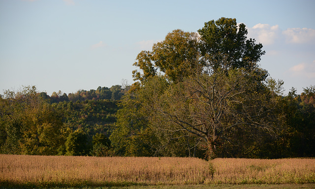 Autumn arrives in Ohio