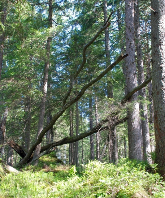 Germany - Garmisch-Partenkirchen