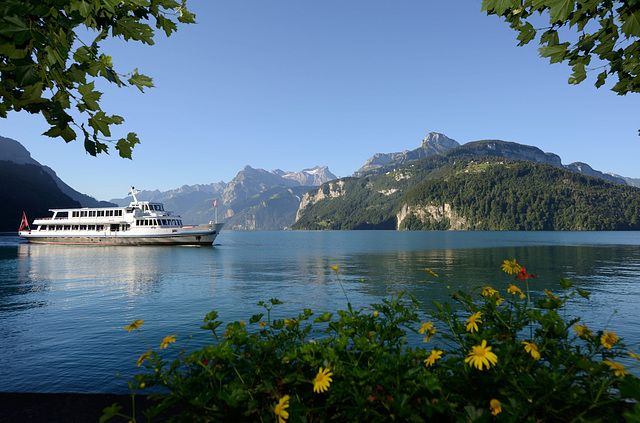 Le lac des Quatre-Cantons