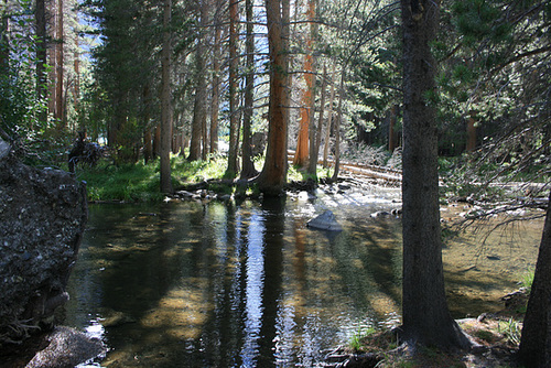 Parker Creek