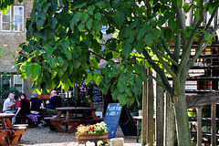 The Red Lion Beer Garden