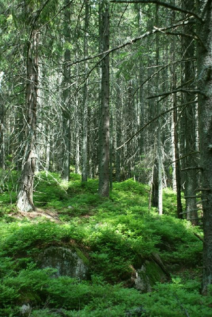 Slovakia - Tatras