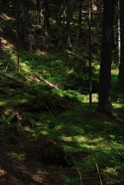 Slovakia - Tatras