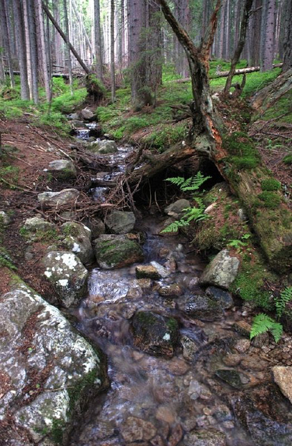 Slovakia - Tatras