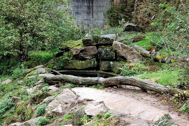 ursolando artifika (künstliches Bärenland)