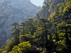 Fontaine de Vaucluse Provence