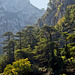 Fontaine de Vaucluse Provence